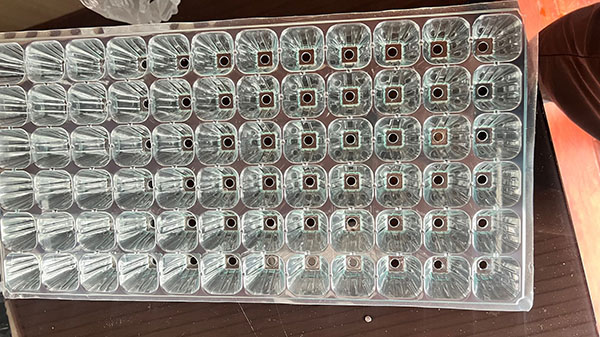 污污丝瓜视频育苗盘片材