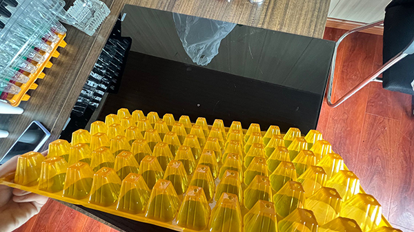 污污丝瓜视频育苗穴盘